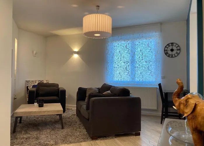 Appartement 2P Strasbourg Centre - Homme De Fer